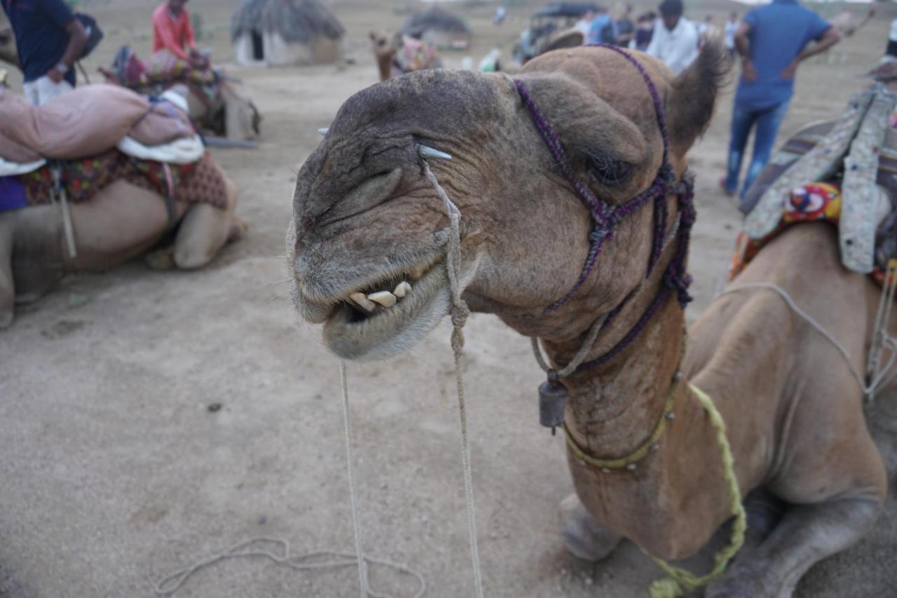 Journey Desert Camp ジャイサルメール エクステリア 写真